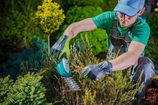 landscaping services Sargent